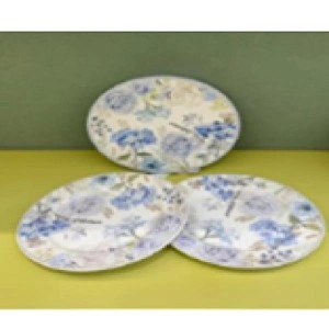 Plate set | Тарелка, 2 шт, комплект, 10 дюймов (25,5 см), комплект